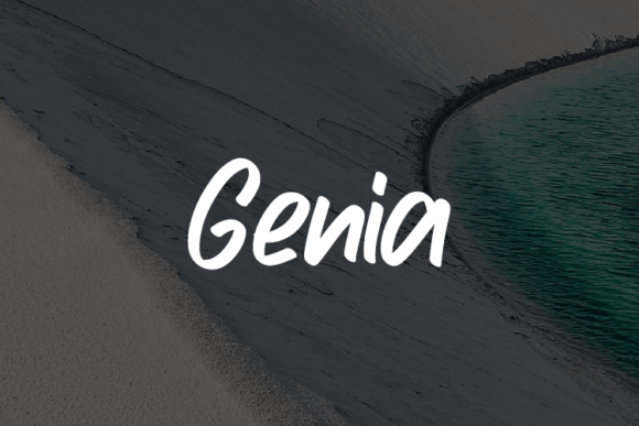 Genia: A Typeface for Every Project